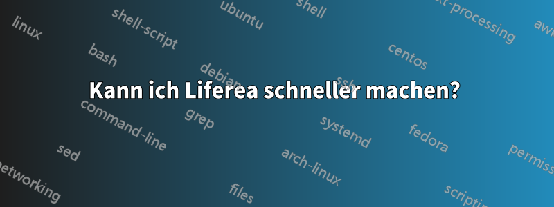 Kann ich Liferea schneller machen?
