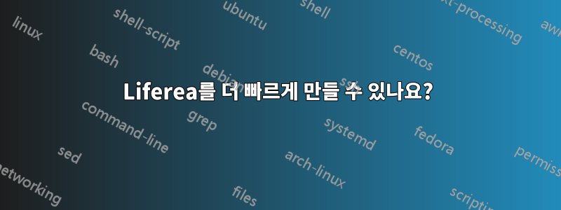 Liferea를 더 빠르게 만들 수 있나요?