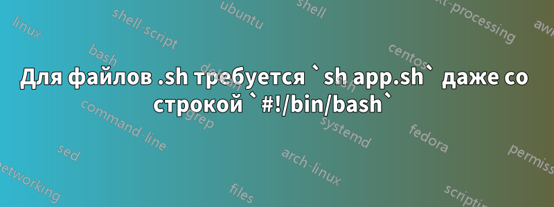 Для файлов .sh требуется `sh app.sh` даже со строкой `#!/bin/bash`
