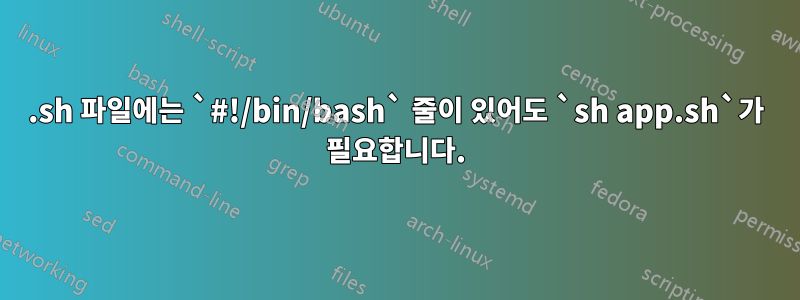 .sh 파일에는 `#!/bin/bash` 줄이 있어도 `sh app.sh`가 필요합니다.
