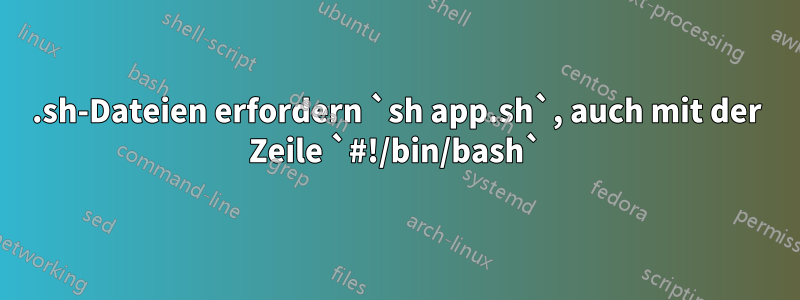 .sh-Dateien erfordern `sh app.sh`, auch mit der Zeile `#!/bin/bash`