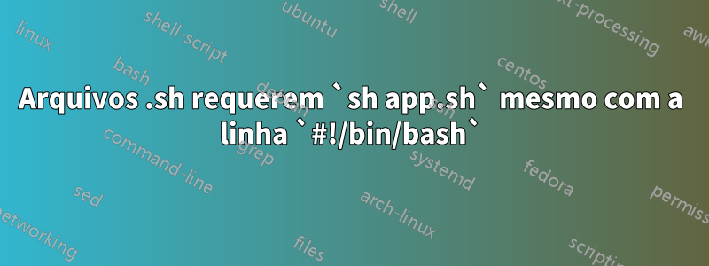 Arquivos .sh requerem `sh app.sh` mesmo com a linha `#!/bin/bash`