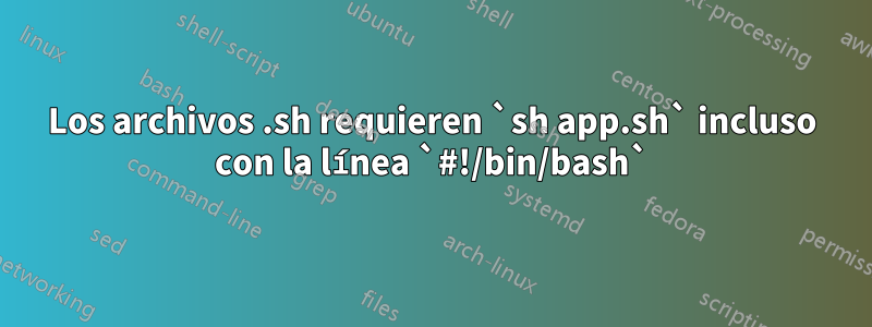 Los archivos .sh requieren `sh app.sh` incluso con la línea `#!/bin/bash`