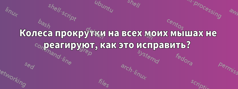 Колеса прокрутки на всех моих мышах не реагируют, как это исправить? 