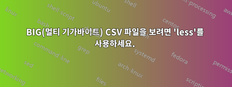 BIG(멀티 기가바이트) CSV 파일을 보려면 'less'를 사용하세요.