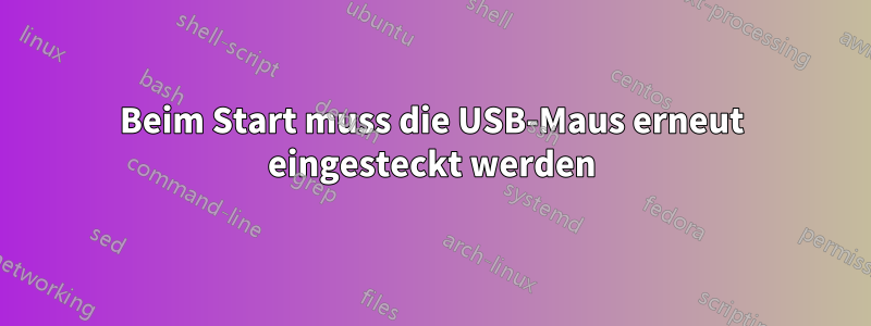 Beim Start muss die USB-Maus erneut eingesteckt werden