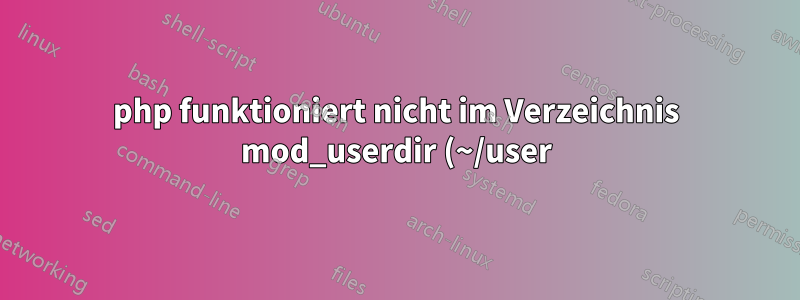 php funktioniert nicht im Verzeichnis mod_userdir (~/user)