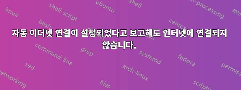 자동 이더넷 연결이 설정되었다고 보고해도 인터넷에 연결되지 않습니다.