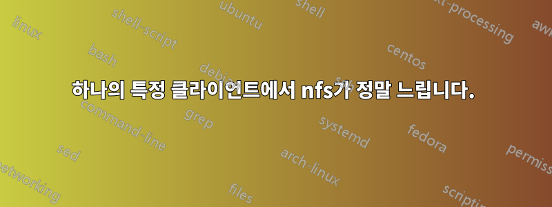 하나의 특정 클라이언트에서 nfs가 정말 느립니다.