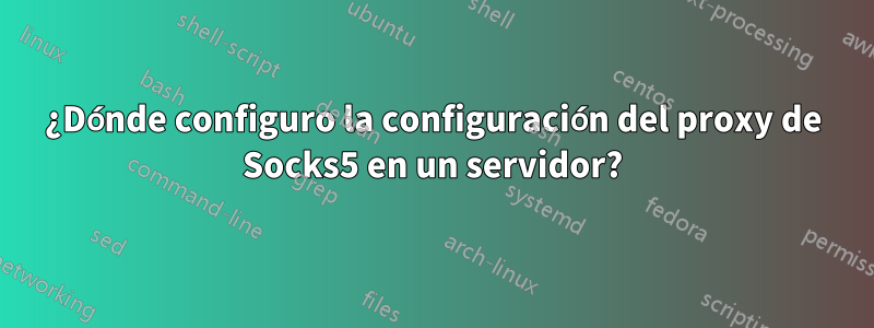 ¿Dónde configuro la configuración del proxy de Socks5 en un servidor?