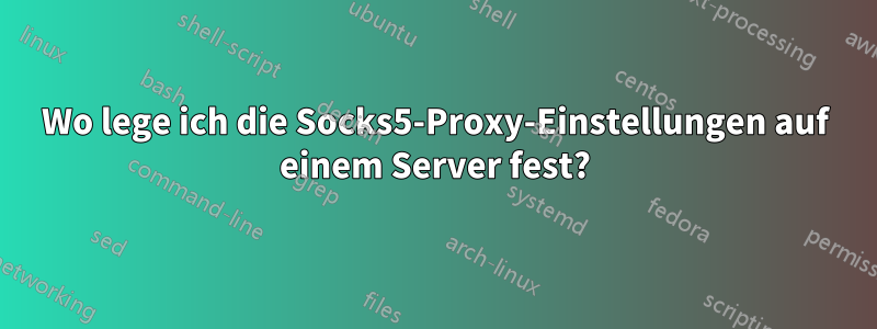 Wo lege ich die Socks5-Proxy-Einstellungen auf einem Server fest?