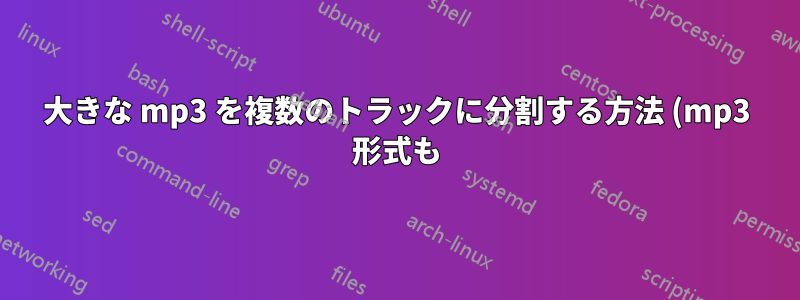 大きな mp3 を複数のトラックに分割する方法 (mp3 形式も)