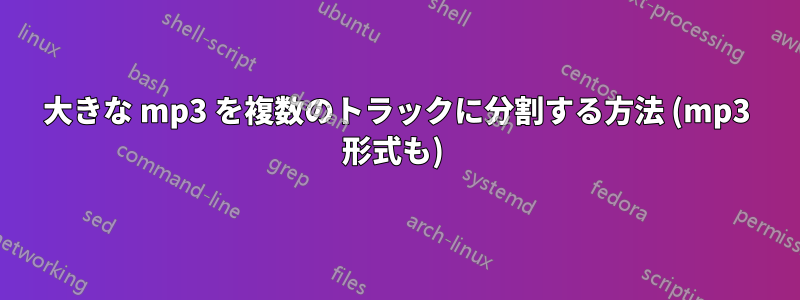 大きな mp3 を複数のトラックに分割する方法 (mp3 形式も) 