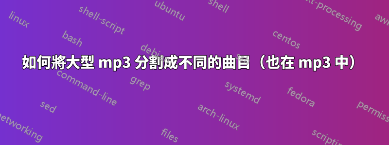 如何將大型 mp3 分割成不同的曲目（也在 mp3 中）