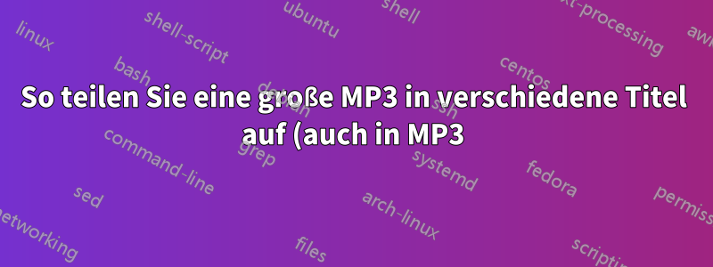 So teilen Sie eine große MP3 in verschiedene Titel auf (auch in MP3)