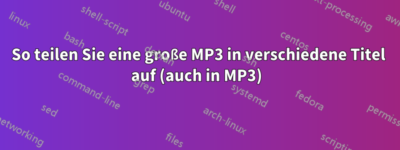 So teilen Sie eine große MP3 in verschiedene Titel auf (auch in MP3) 