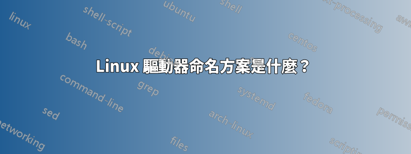 Linux 驅動器命名方案是什麼？