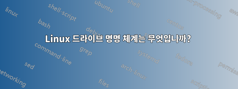 Linux 드라이브 명명 체계는 무엇입니까?