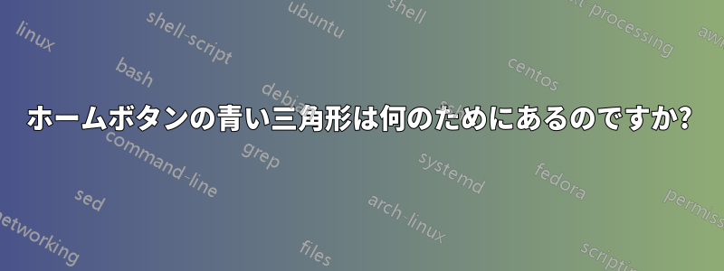 ホームボタンの青い三角形は何のためにあるのですか?