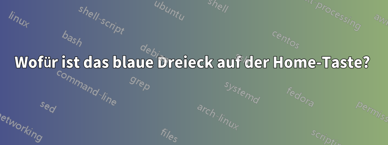 Wofür ist das blaue Dreieck auf der Home-Taste?