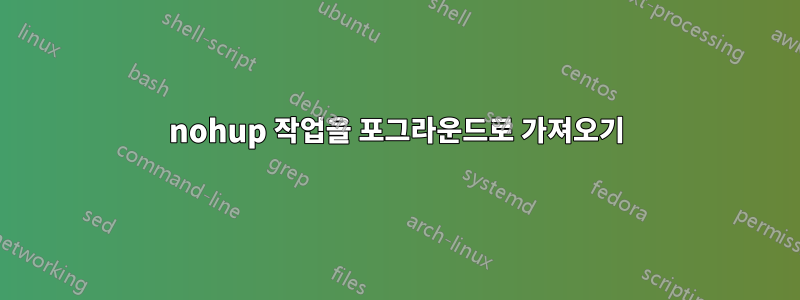 nohup 작업을 포그라운드로 가져오기