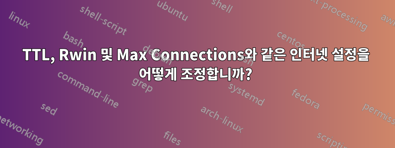 TTL, Rwin 및 Max Connections와 같은 인터넷 설정을 어떻게 조정합니까?