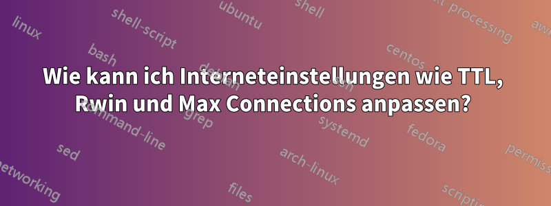 Wie kann ich Interneteinstellungen wie TTL, Rwin und Max Connections anpassen?