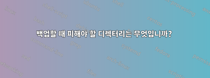 백업할 때 피해야 할 디렉터리는 무엇입니까?