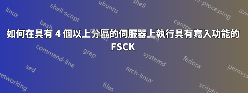 如何在具有 4 個以上分區的伺服器上執行具有寫入功能的 FSCK