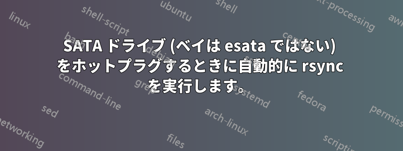 SATA ドライブ (ベイは esata ではない) をホットプラグするときに自動的に rsync を実行します。