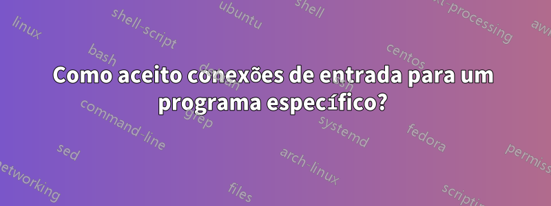 Como aceito conexões de entrada para um programa específico?