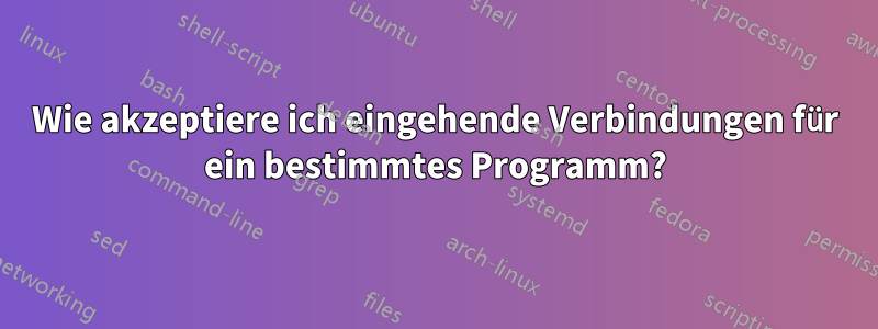 Wie akzeptiere ich eingehende Verbindungen für ein bestimmtes Programm?