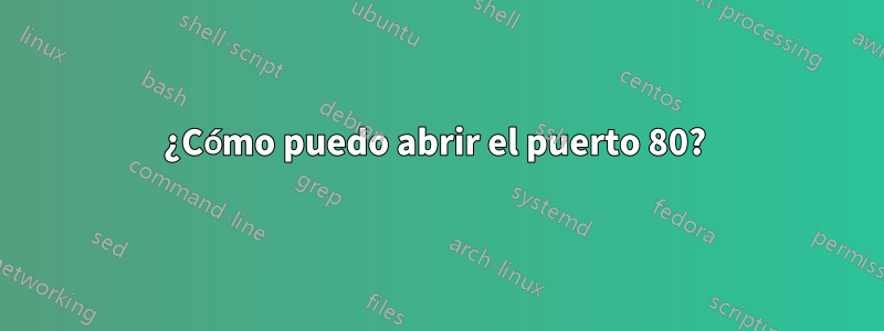 ¿Cómo puedo abrir el puerto 80? 