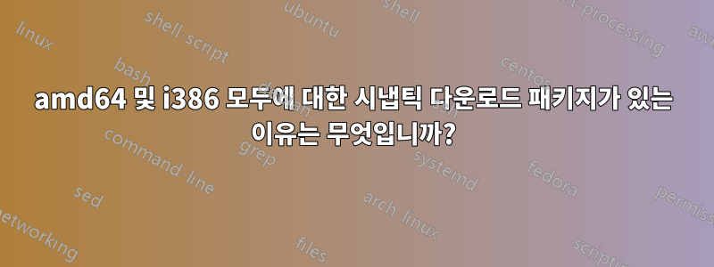 amd64 및 i386 모두에 대한 시냅틱 다운로드 패키지가 있는 이유는 무엇입니까?