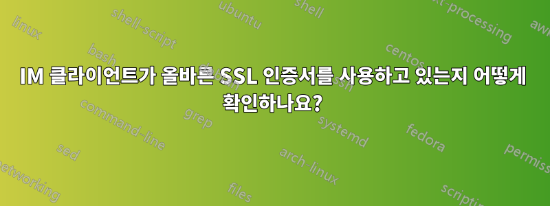 IM 클라이언트가 올바른 SSL 인증서를 사용하고 있는지 어떻게 확인하나요?