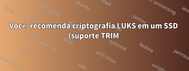 Você recomenda criptografia LUKS em um SSD (suporte TRIM)?