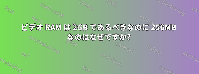 ビデオ RAM は 2GB であるべきなのに 256MB なのはなぜですか?