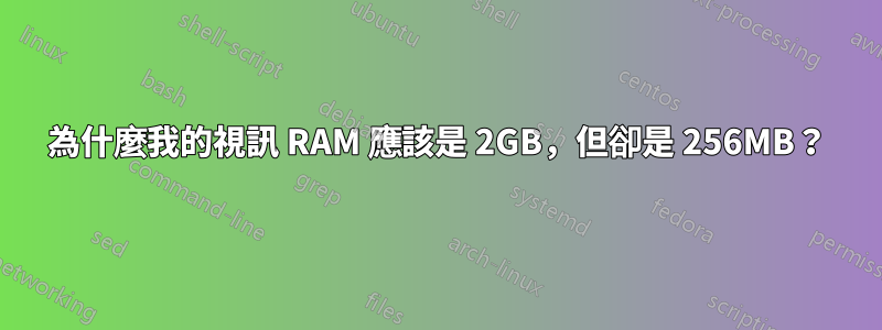 為什麼我的視訊 RAM 應該是 2GB，但卻是 256MB？