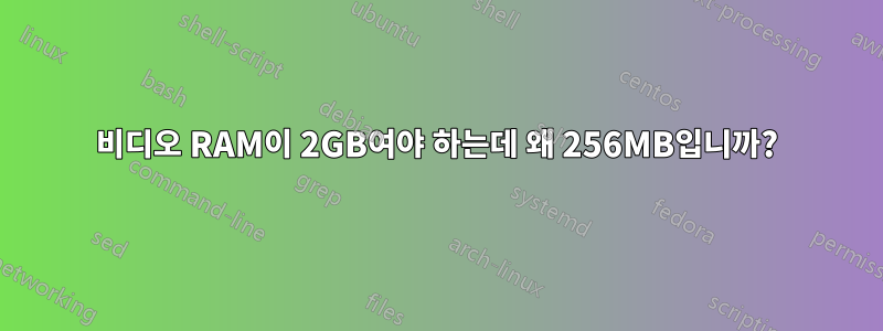 비디오 RAM이 2GB여야 하는데 왜 256MB입니까?