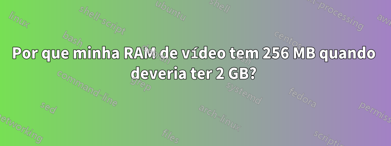 Por que minha RAM de vídeo tem 256 MB quando deveria ter 2 GB?