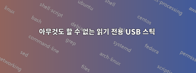 아무것도 할 수 없는 읽기 전용 USB 스틱