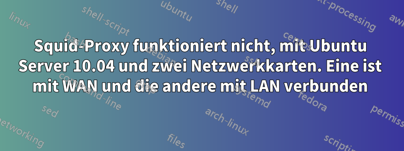 Squid-Proxy funktioniert nicht, mit Ubuntu Server 10.04 und zwei Netzwerkkarten. Eine ist mit WAN und die andere mit LAN verbunden