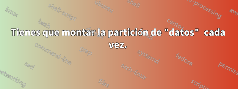 Tienes que montar la partición de "datos" cada vez.