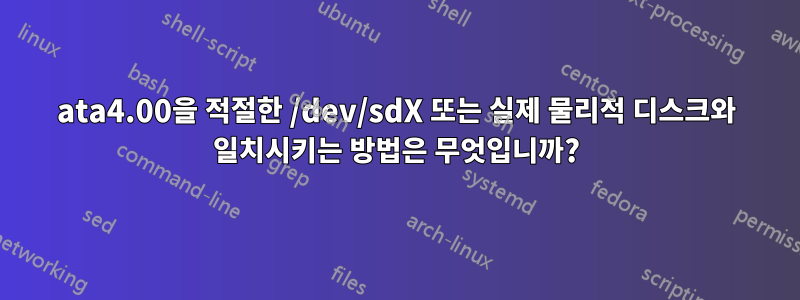 ata4.00을 적절한 /dev/sdX 또는 실제 물리적 디스크와 일치시키는 방법은 무엇입니까?