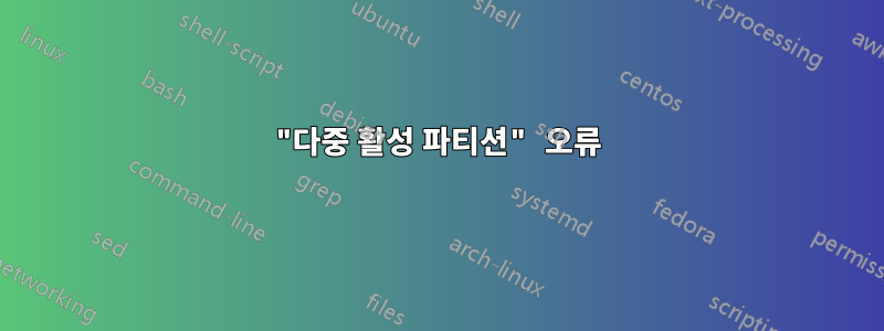 "다중 활성 파티션" 오류