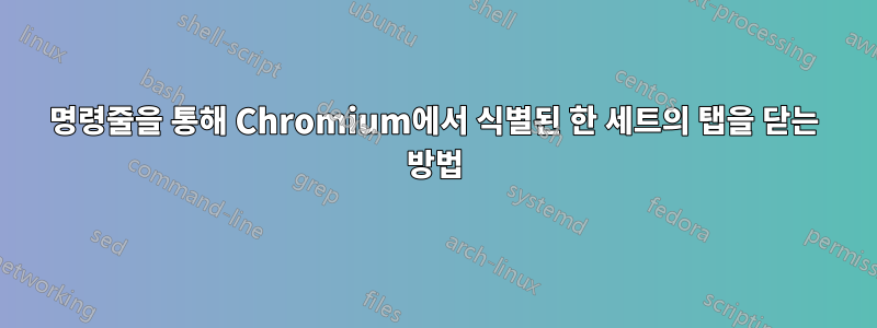 명령줄을 통해 Chromium에서 식별된 한 세트의 탭을 닫는 방법