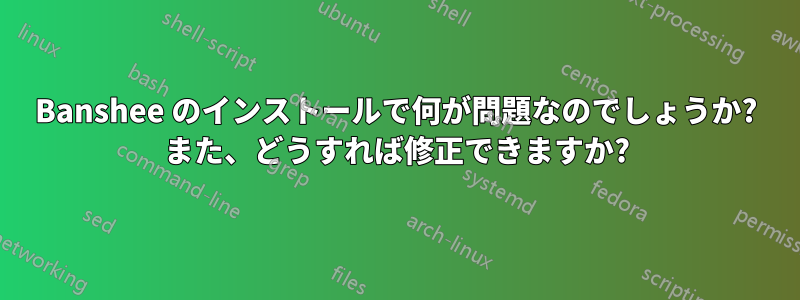 Banshee のインストールで何が問題なのでしょうか? また、どうすれば修正できますか?