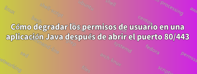 Cómo degradar los permisos de usuario en una aplicación Java después de abrir el puerto 80/443