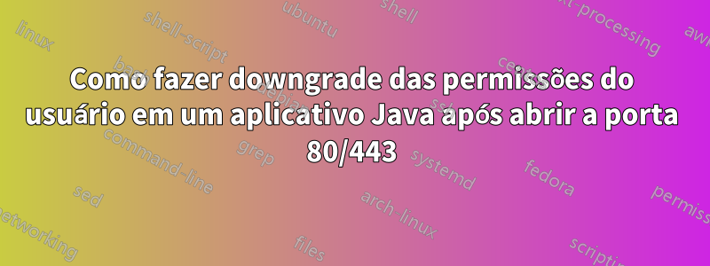 Como fazer downgrade das permissões do usuário em um aplicativo Java após abrir a porta 80/443