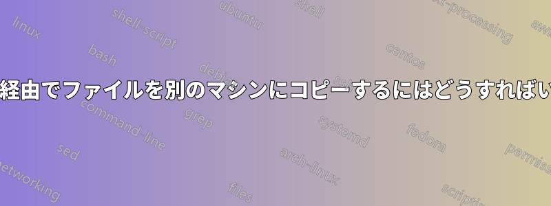 ターミナル経由でファイルを別のマシンにコピーするにはどうすればいいですか?